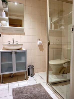 Hårtork, handdukar, tvål och toalettpapper