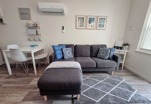 TV, DVD player, books, video library