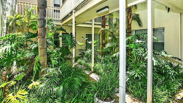 Ein überdachter Außenbereich mit Balkon, umgeben von üppiger tropischer Vegetation und einer Palme.