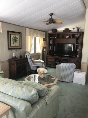 TV, DVD player, ping pong