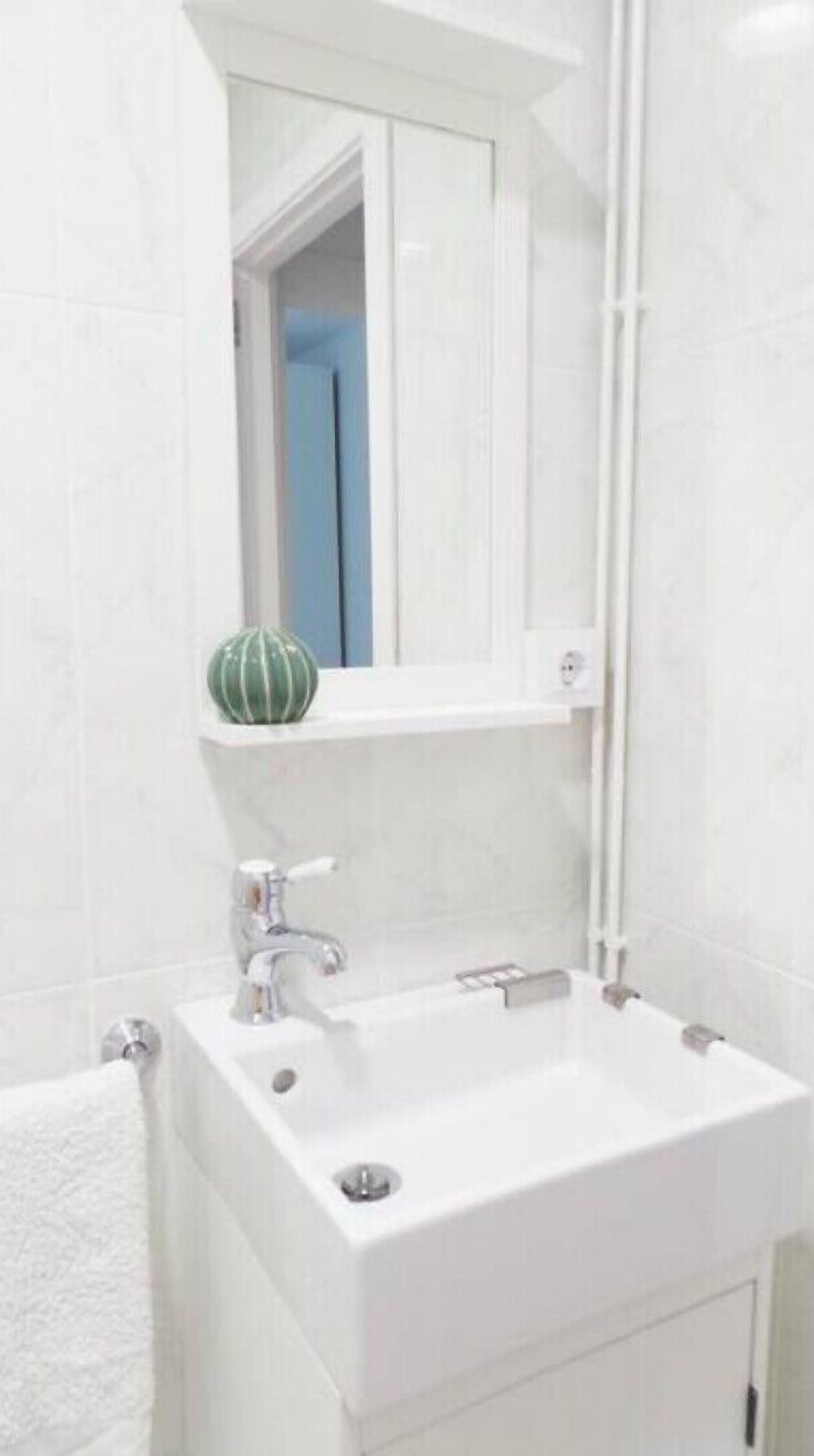 Un baño con un lavamanos blanco, un espejo encima y una pequeña planta verde en el borde del lavamanos.