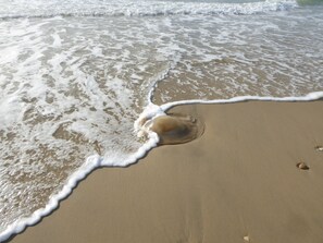 Perto da praia 
