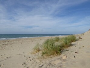 Playa en los alrededores 