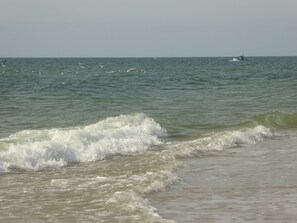 Playa en los alrededores 