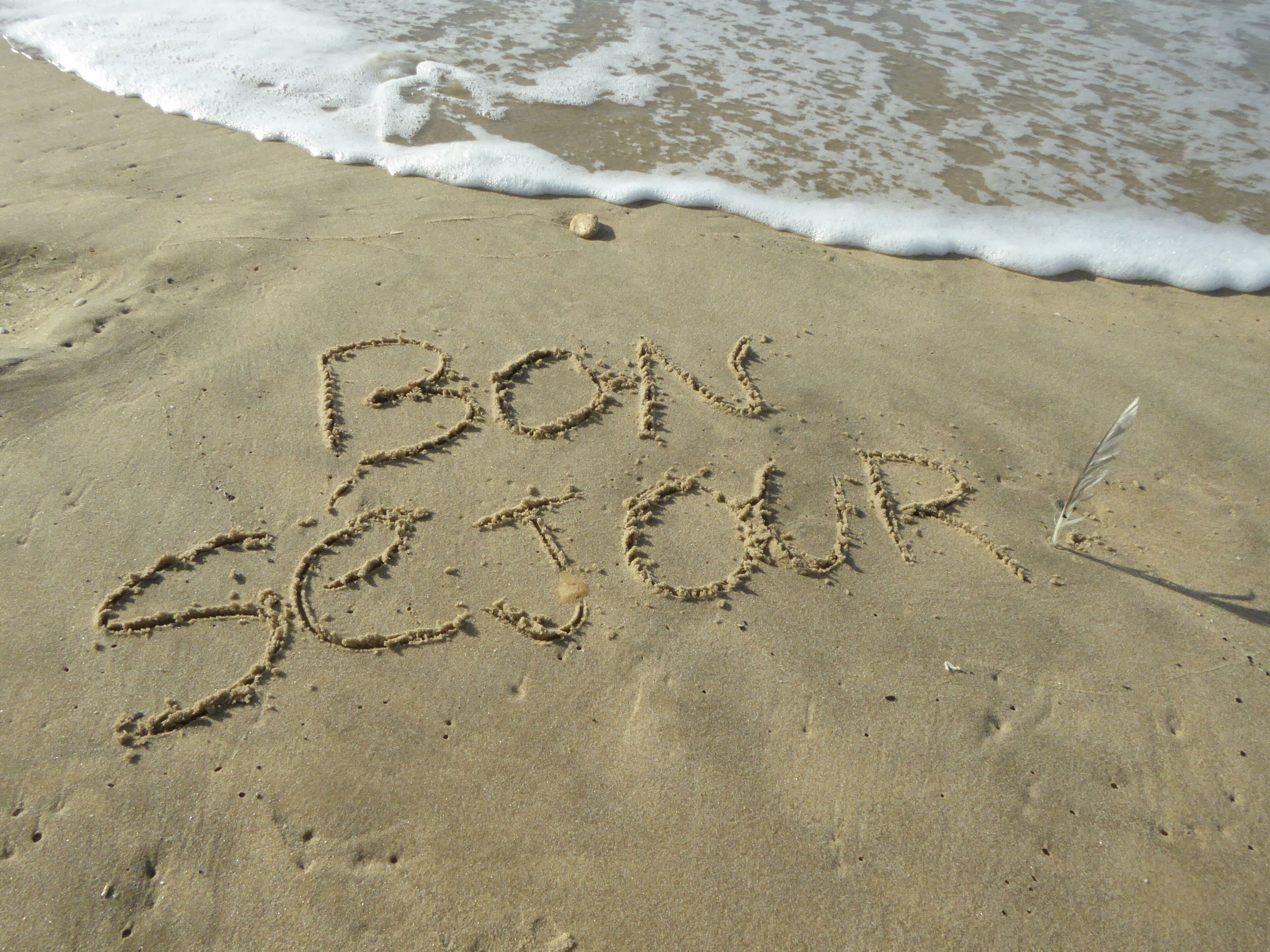 A beach with sand and a feather.