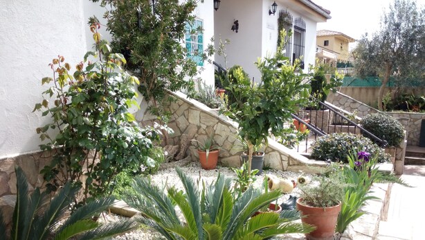 Un jardin agrémenté de différentes plantes en pot et doté d’un mur en pierre.