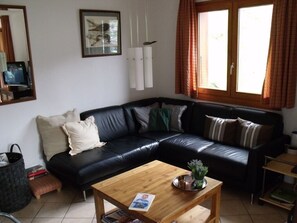 Smart TV, fireplace, DVD player, books