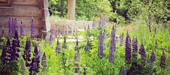 Beautiful luxury log cabin. Two private terrasses. Open fireplace. Pet friendly