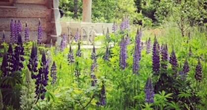 Beautiful luxury log cabin. Two private terrasses. Open fireplace. Pet friendly