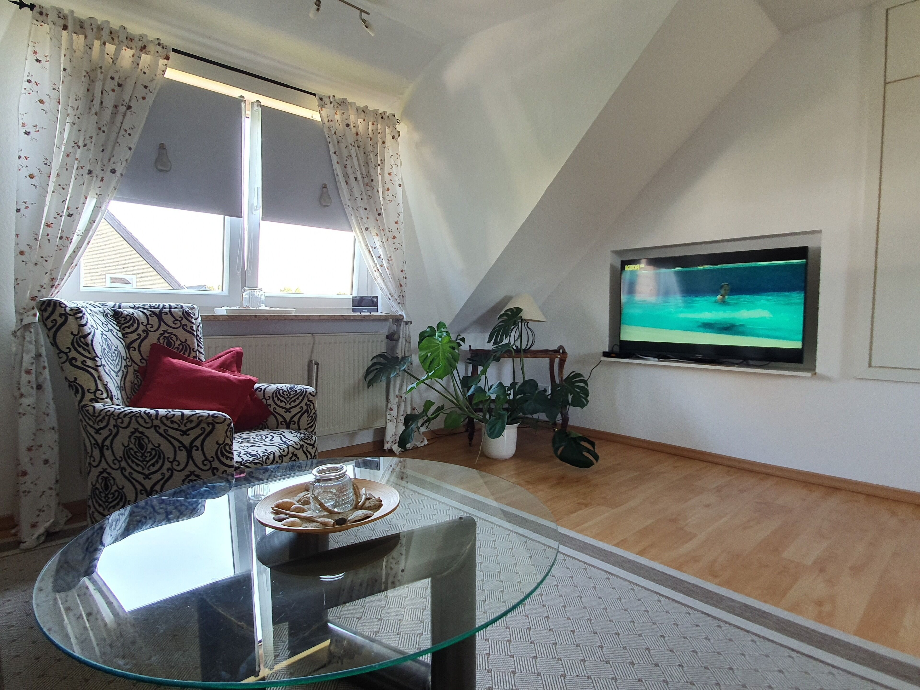Fernseher
