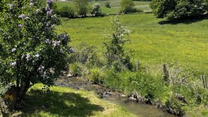 Paisaje rural con un arroyo, árboles y cielo despejado.