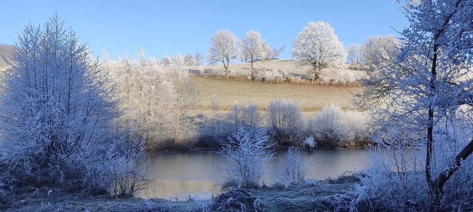 A serene winter landscape with a frozen pond, frost-covered trees, and a clear blue sky.
