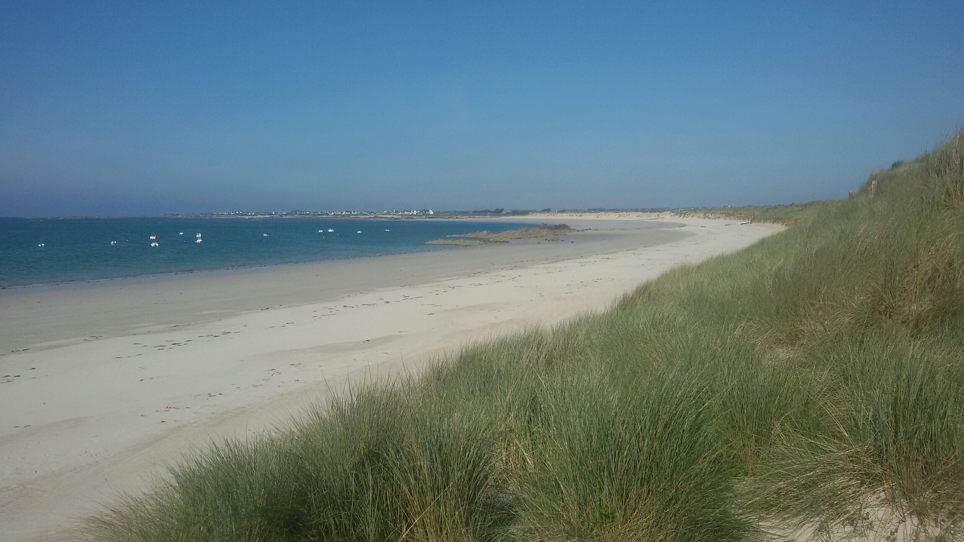 Plage, chaises longues