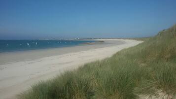 Plage, chaises longues