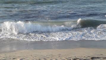 Plage, chaises longues