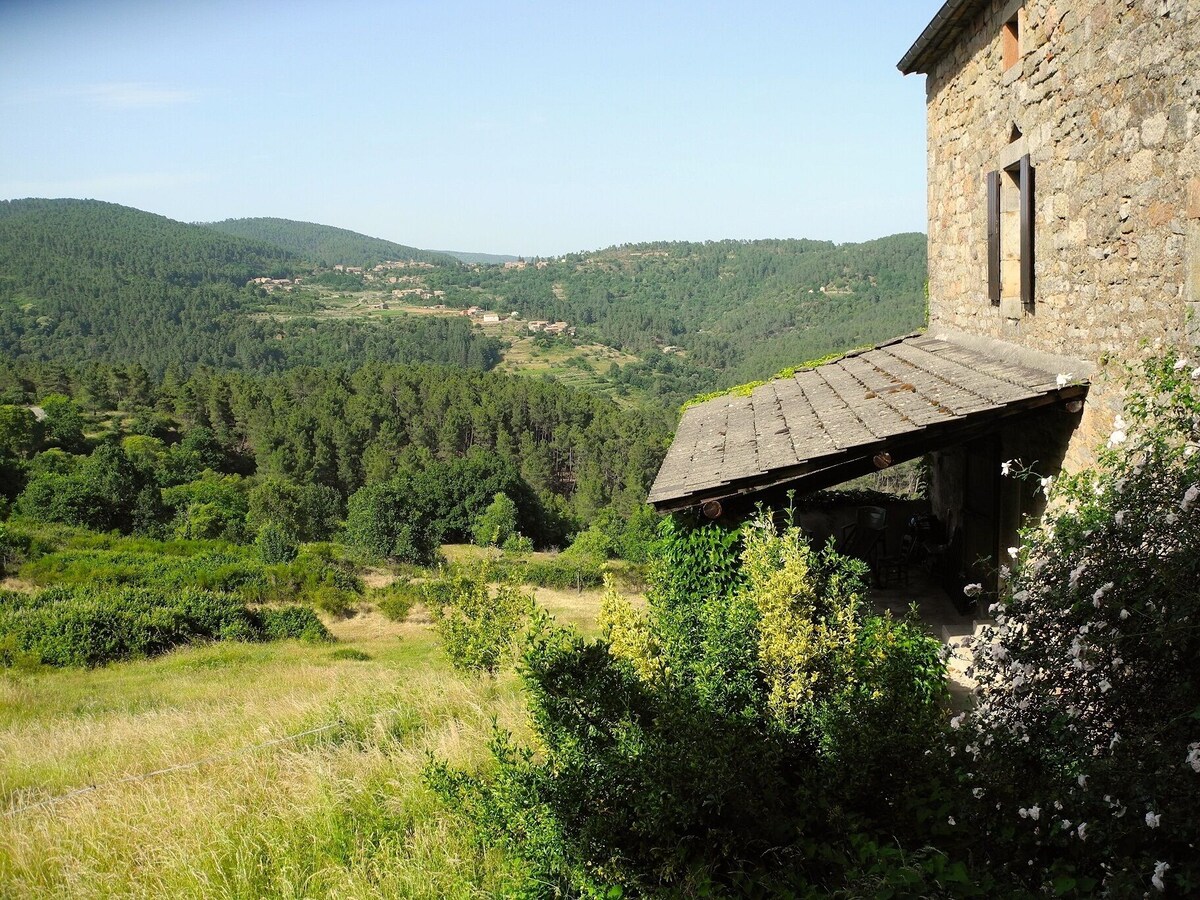 Host profile image