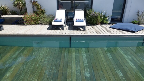 Área da piscina com duas espreguiçadeiras e almofada azul, cercada por plantas e um deck de madeira.