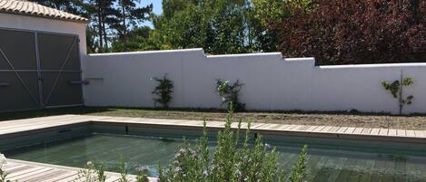 A swimming pool with a wooden deck, surrounded by a white wall and greenery.
