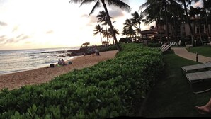 A beach with palm trees, a pathway, and a building with a pool area.