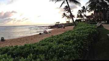 Playa en los alrededores, camastros y toallas de playa