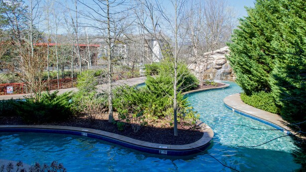 Une piscine à bord incurvé, entourée d’arbres et bordée d’une allée pavée.