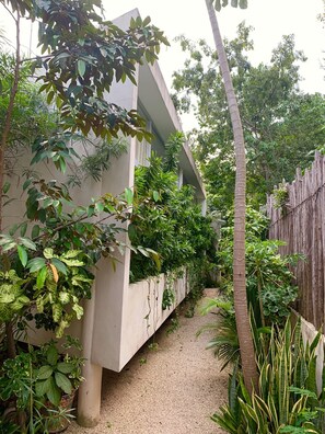 Property grounds - TULUM-LA VELETA Designer Loft  2 (Fast Internet) (Tulum)