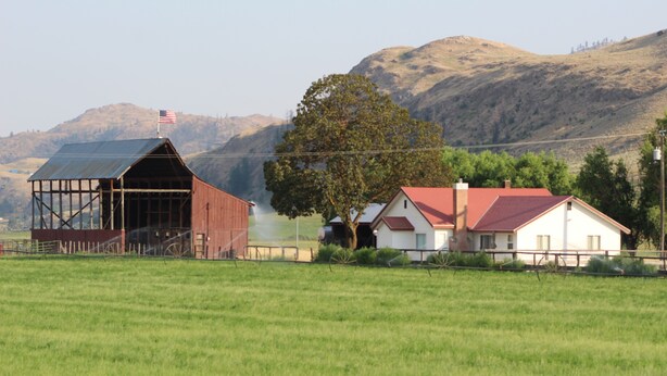 A barn with a red roof and a white building with a red roof in a rural setting.