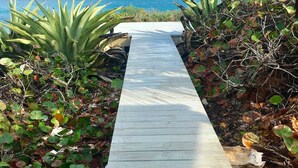 A wooden pathway leading to a beach with clear blue water and a palm tree in the background. - Spectacular Eco Cottage, oceanfront, secret beach (Gregorytown)