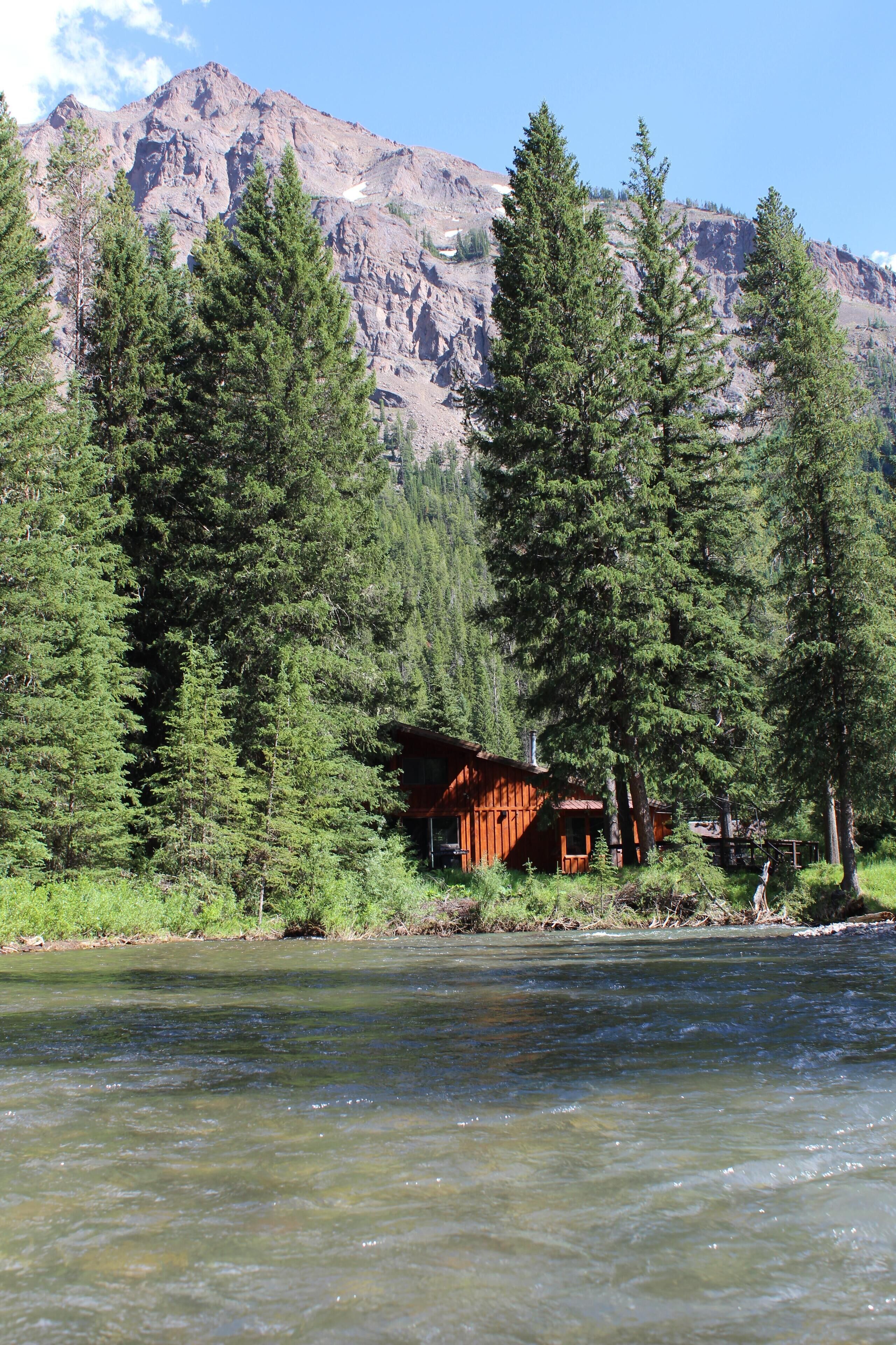 A cabin by a clear mountain stream surrounded by tall pine trees.