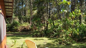 A wooden deck with a yellow chair and a small statue, surrounded by lush greenery and trees. -  Enchanting Rainforest Hideaway, on 2 Private Acres to yourself.  Pahoa/Keaau   (Pahoa)