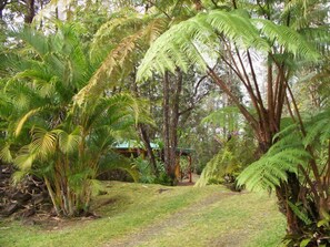Property grounds -  Enchanting Rainforest Hideaway, on 2 Private Acres to yourself.  Pahoa/Keaau   (Pahoa)