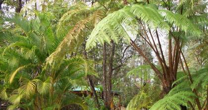 Enchanting Rainforest Hideaway, on 2 Private Acres to yourself. Pahoa/Keaau