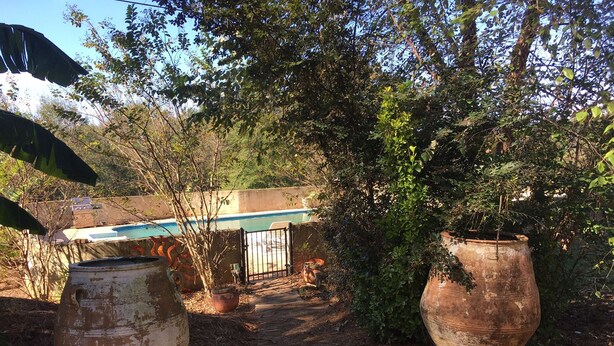 A garden with large terracotta pots, a pathway, and a building with a blue roof in the background. - Cottage. 3 bedrooms, 2 baths and full kitchen on sheep and goat farm  (Jefferson)