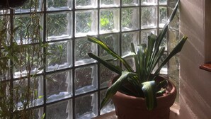 A room with a large window featuring a grid of clear glass panes. - The 'Cottage' at Lion's Gate - Check for our Spring & Summer Specials (Red Hook)