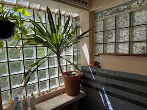 A bathroom with a large window, a potted plant, toiletries, and a tiled backsplash. - The 'Cottage' at Lion's Gate - Check for our Spring & Summer Specials (Red Hook)