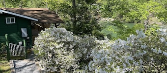 Lakefront - Cozy Cottage Directly On Beautiful Lake Lure!