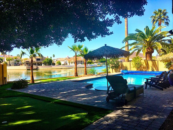 A swimming pool with lounge chairs and a palm tree.