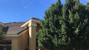 A residential building with a beige facade, a tiled roof, and a well-maintained lawn. - NEW! Luxury Lakefront Estate with Pool and Putting Greens (Glendale)