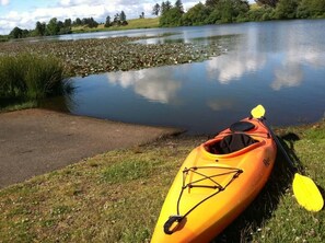 Un kayak con un remo en la orilla de un lago.