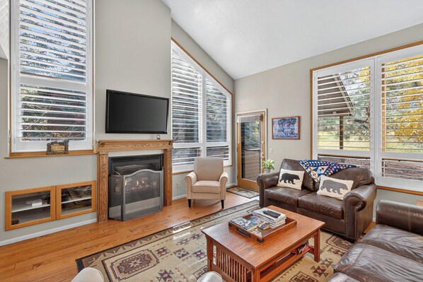 Smart TV, fireplace, DVD player, stereo