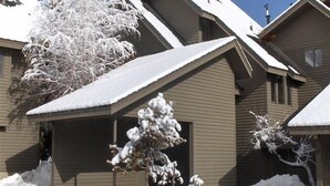 A residential area with houses covered in snow, featuring sloped roofs and a clear sky.