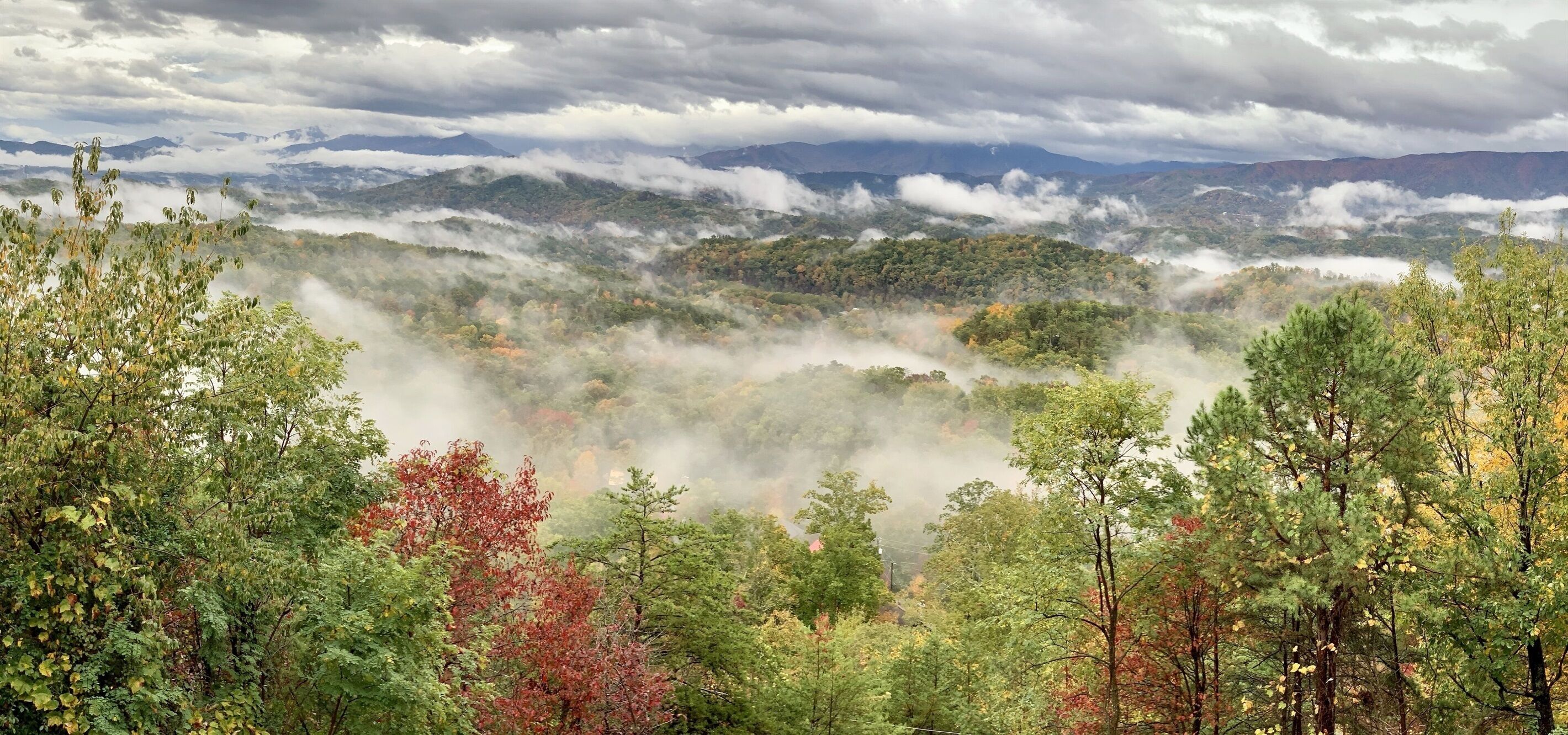 A mountainous landscape with dense forest and mist.