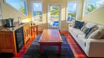 Smart TV, fireplace, video games, DVD player