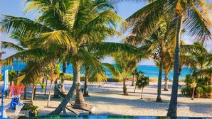 A beach with palm trees and a pool. - Private Beachfront Luxury Estate pool with waterfall free concierge – Sleeps 16 (North Caicos)