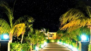A paved pathway leading to a building with a starry night sky in the background.