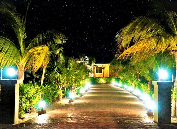 Stroll through the serene gardens to the entrance of this modern building.