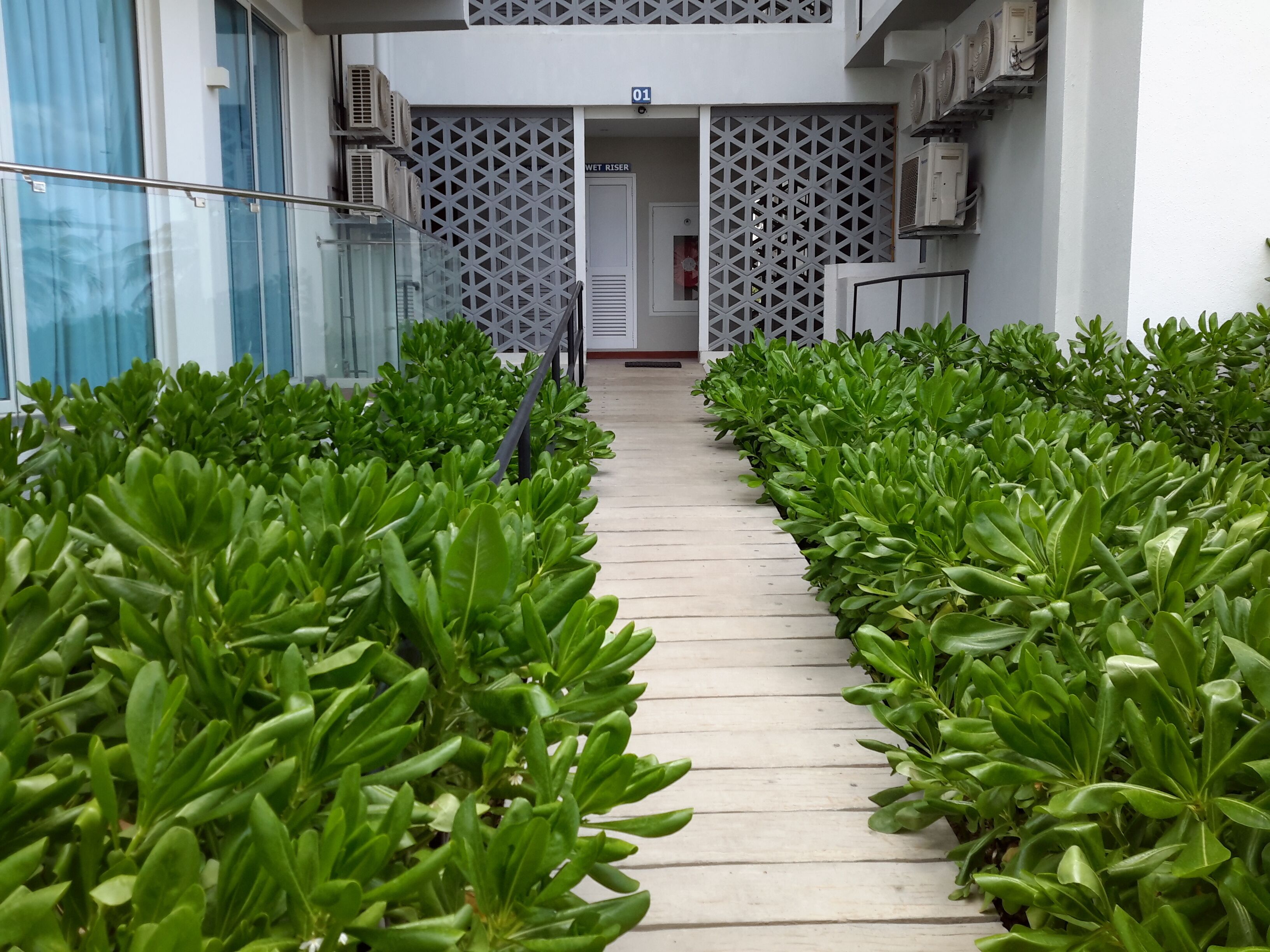 Enceinte de l’hébergement