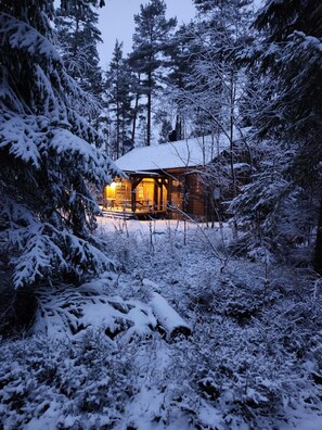 Une cabane entourée d’arbres couverts de neige.