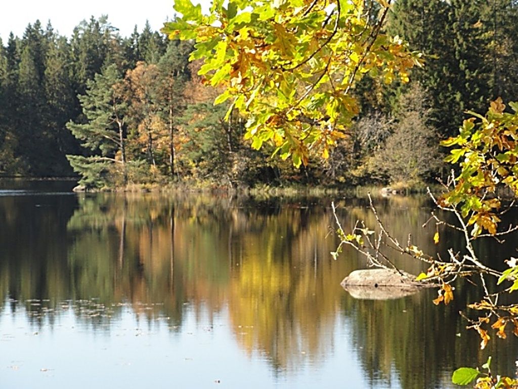 منوع