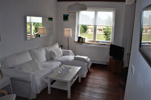 Tv, eldstad och böcker